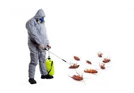 Best Fumigation Company Services